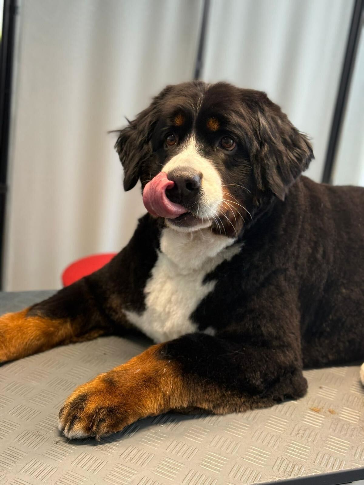 05c4b753-4176-42a0-917b-5c18d9123922 (1)