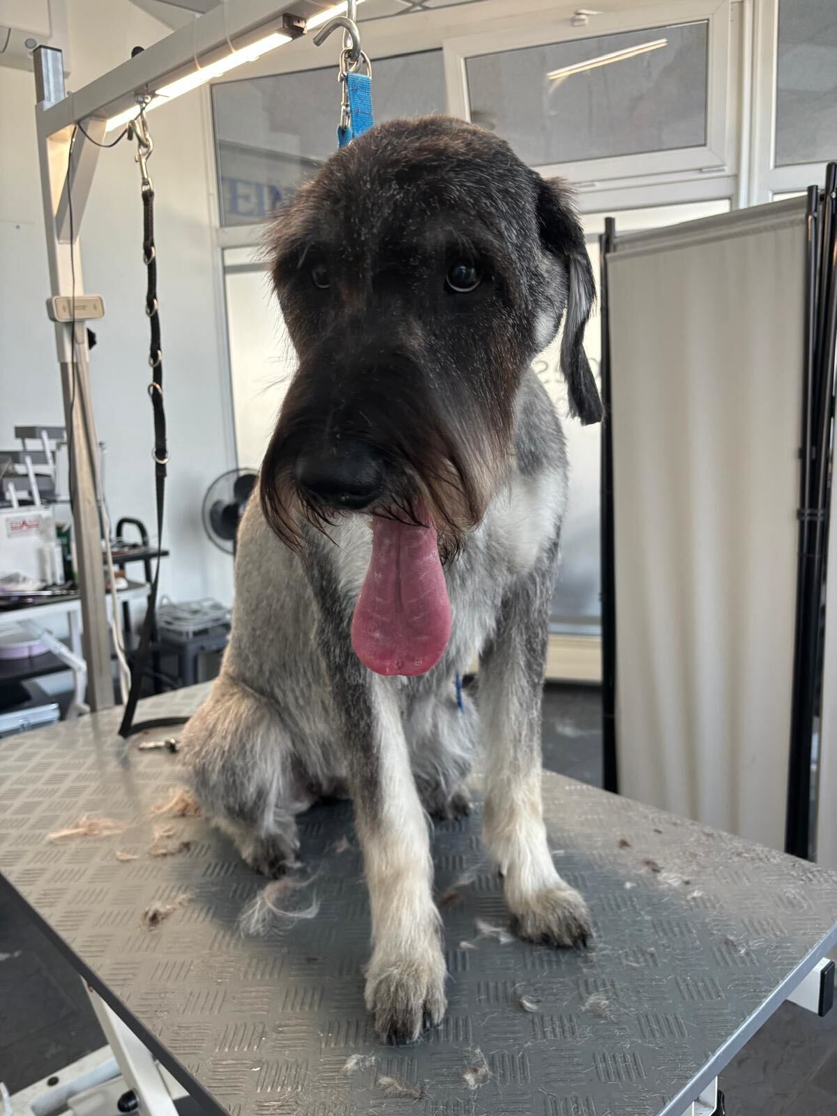 1e172f94-75d1-4a56-a767-04e06c80bf06 (1)