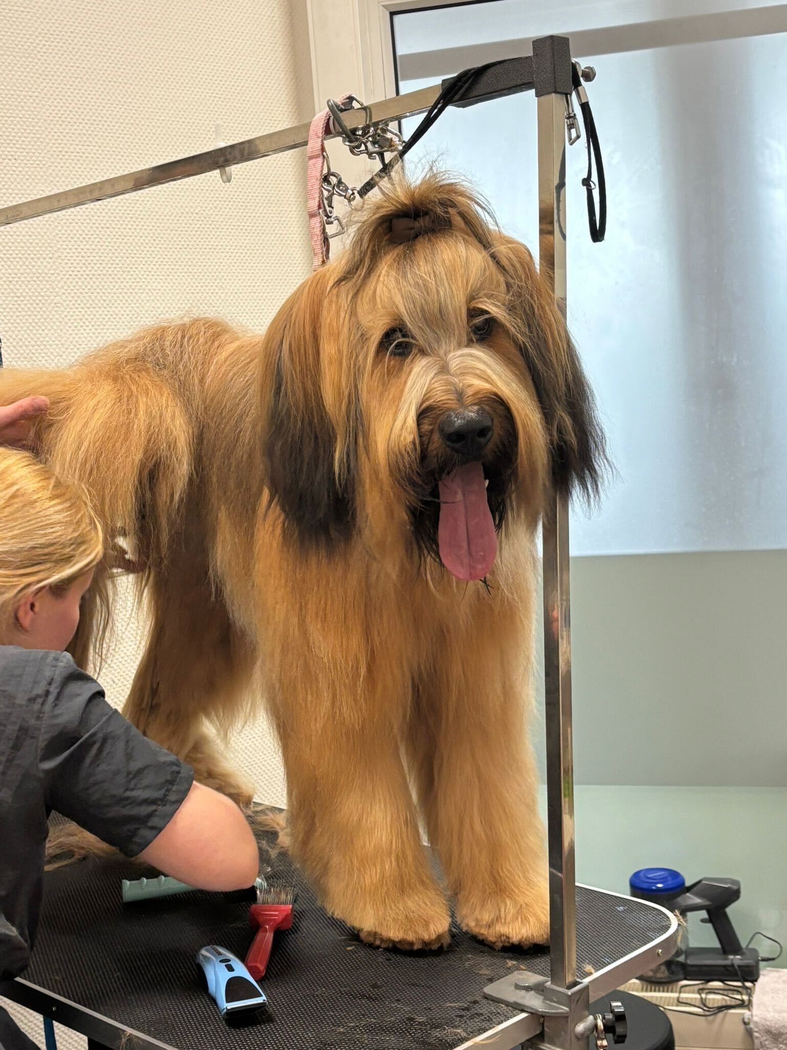 2dea2e35-869d-49fb-9d74-0cd1d8321240