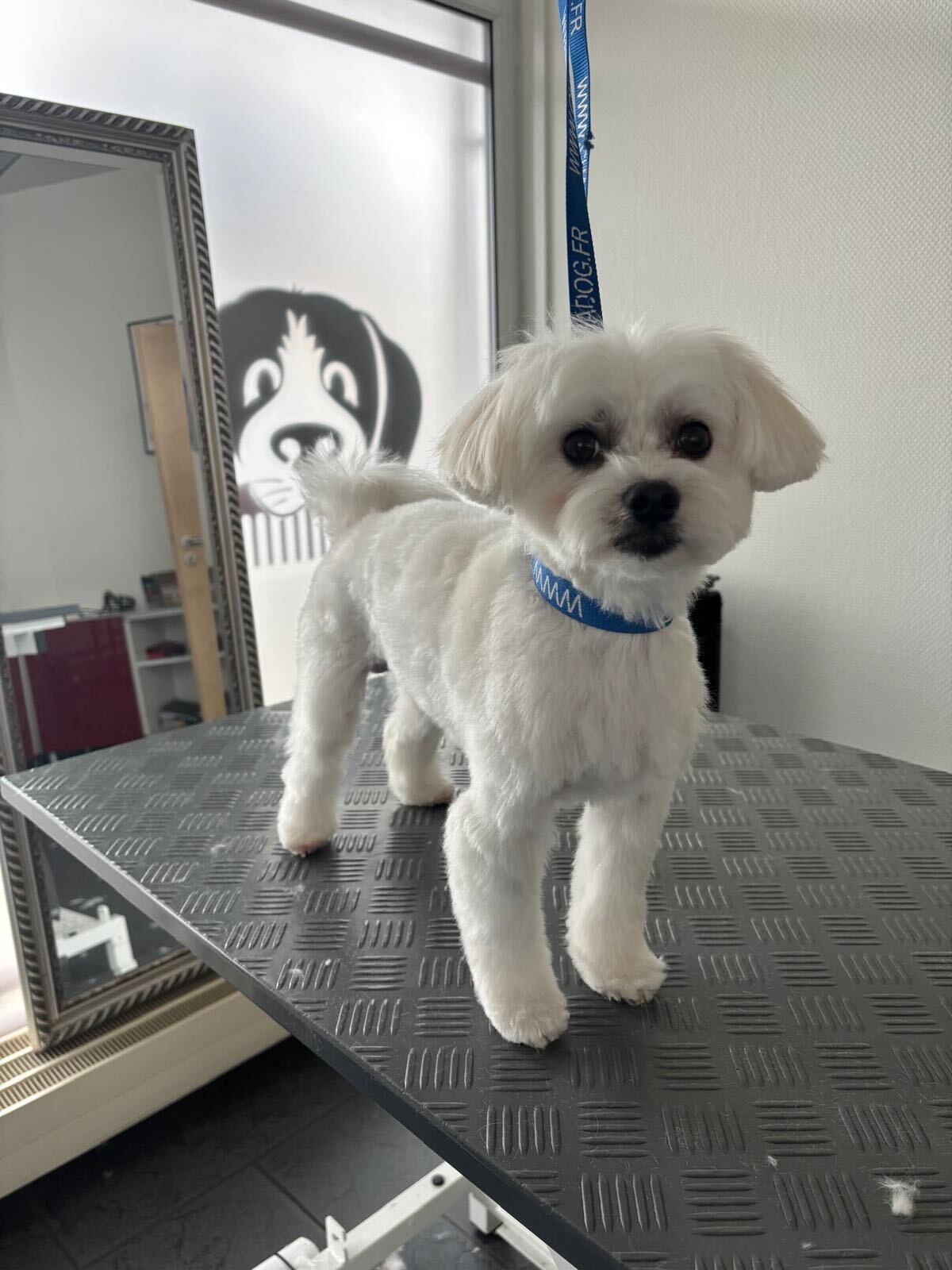 7a881962-6f73-4203-9c75-06effd44e219