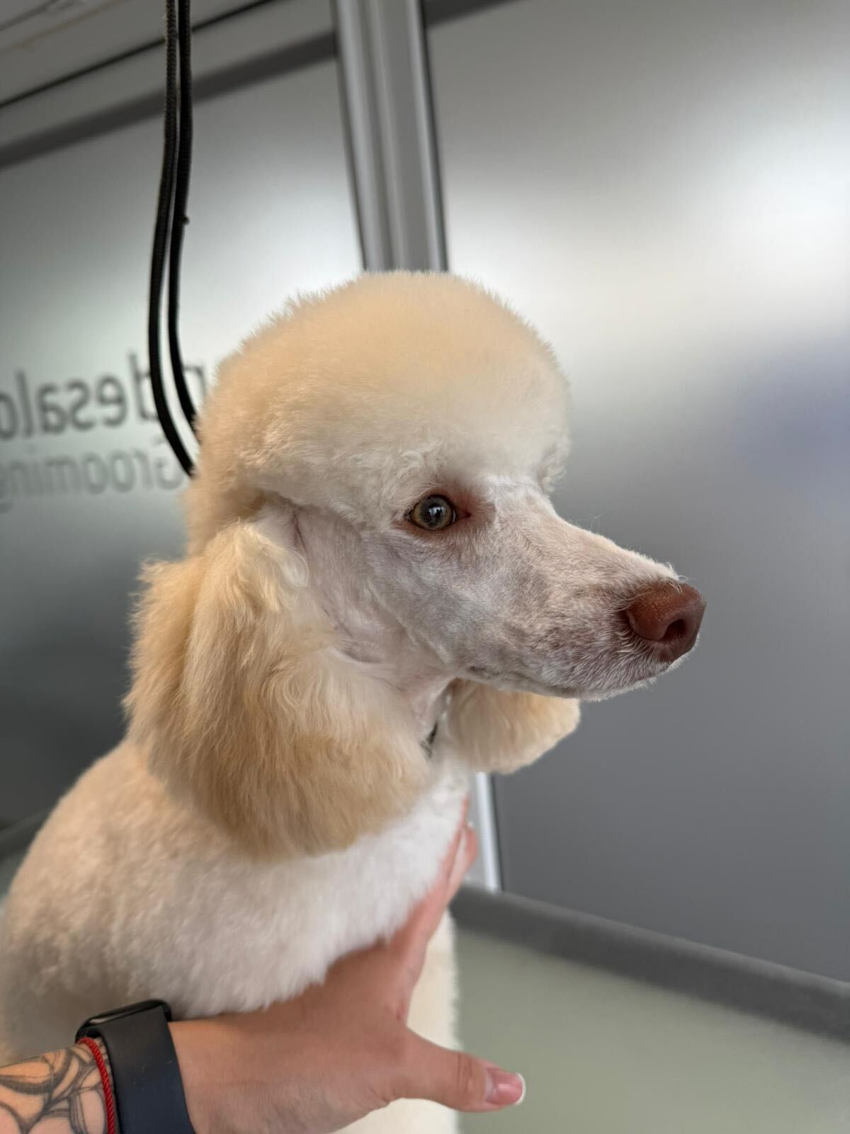 9babb57e-17fa-4983-acbb-152f72098f4b (1)