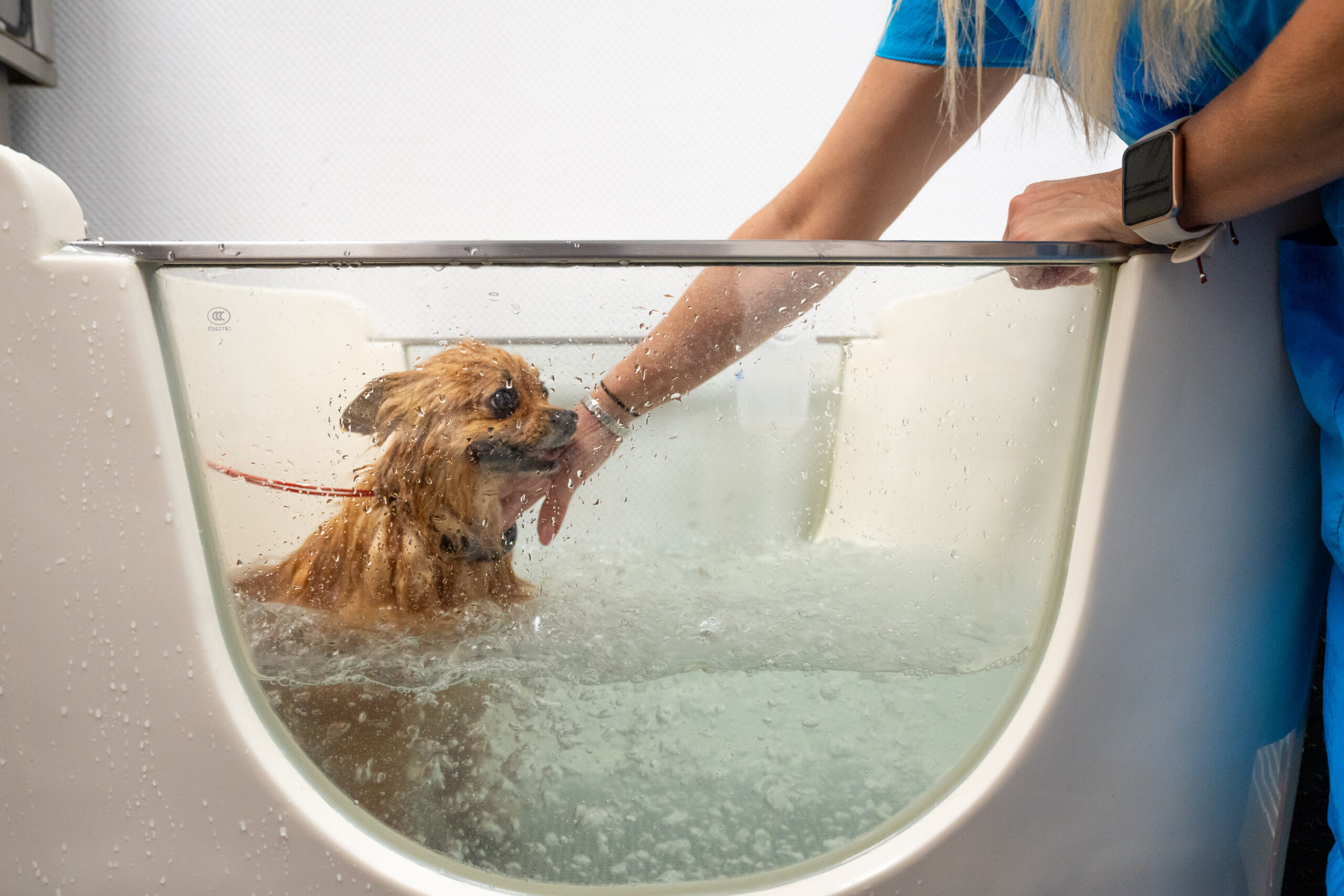 Picture Ozontherapie