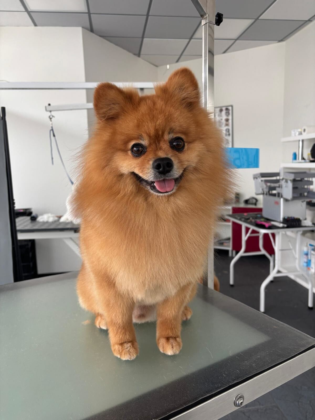 c5575d05-f51d-4884-a908-7c132b4b6859